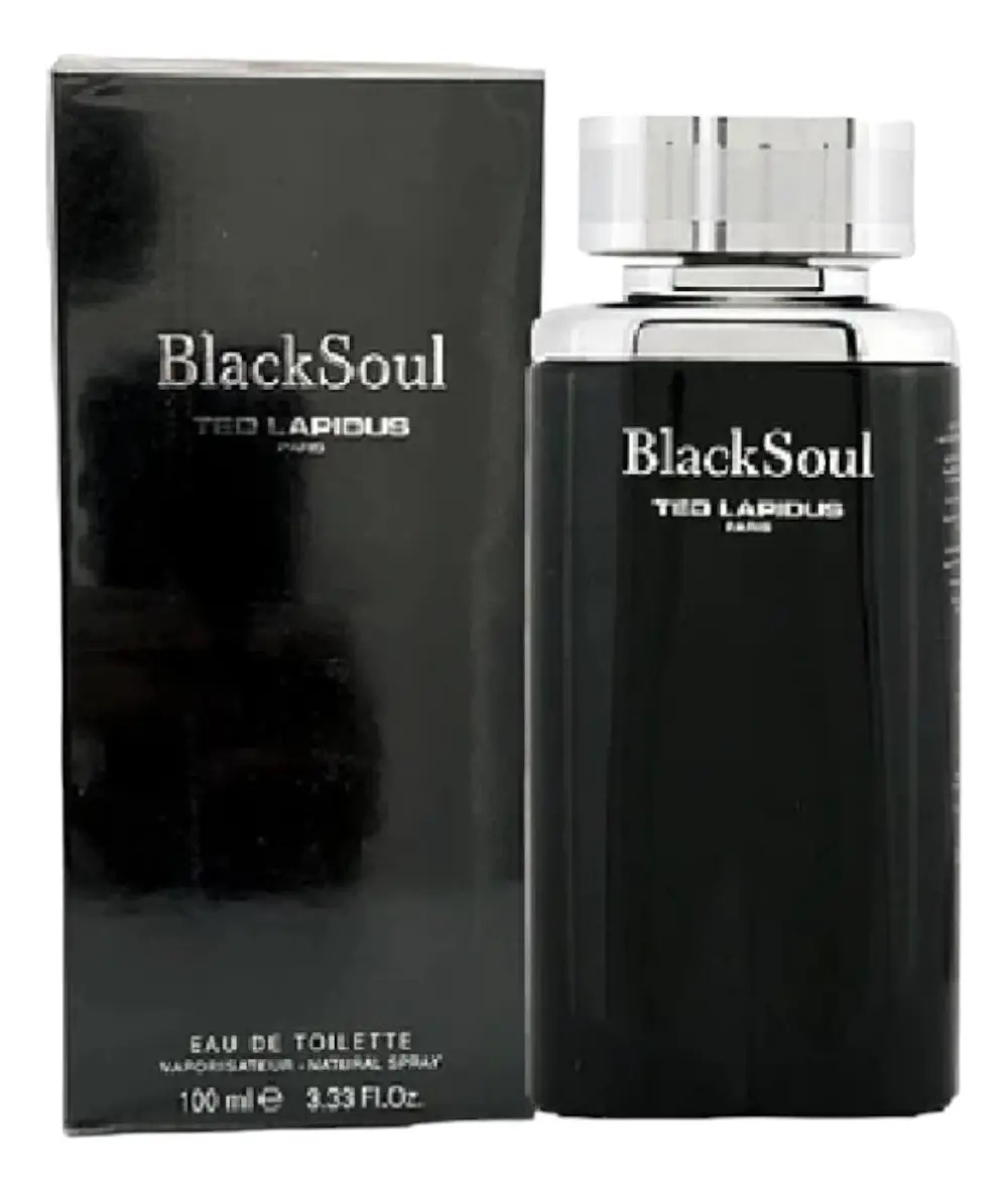 Ted Lapidus Black Soul EDT 100 ml Hombre