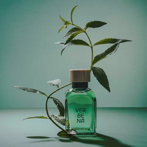 Adolfo Dominguez Agua Fresca Verbena Edt 120Ml Hombre