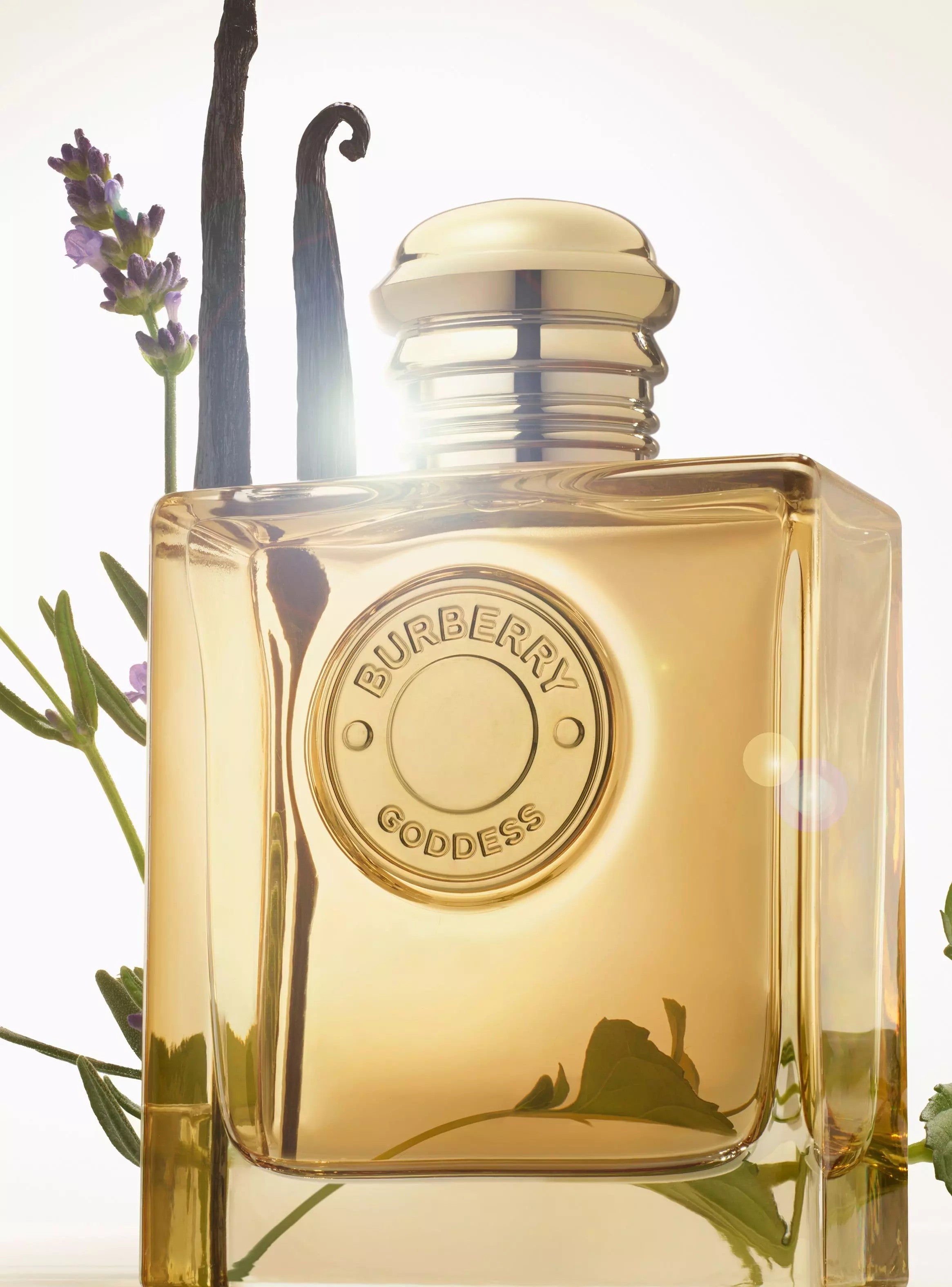 Burberry Goddess intense EDP 100 ml - Mujer