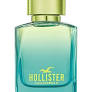 hollister wave 2 100 ml