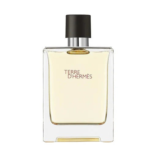 Hermes Terre D Hermes EDT 100ML Hombre